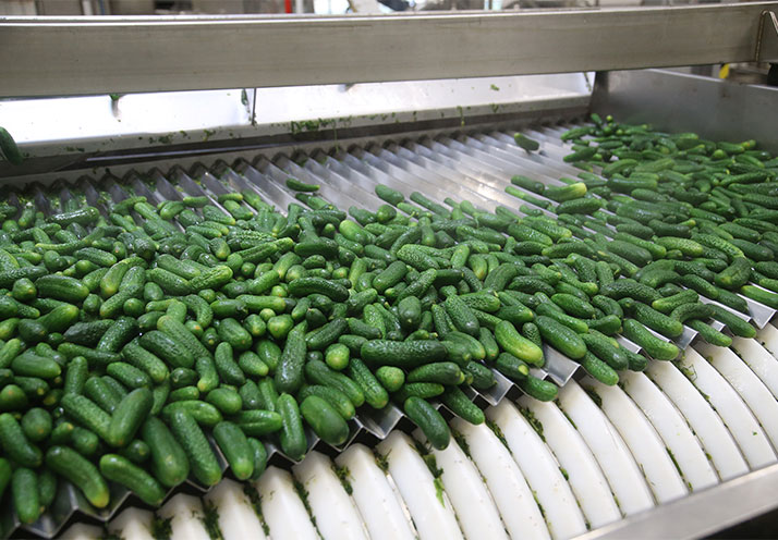 Source Management and Multi-level Quality Controls<br />