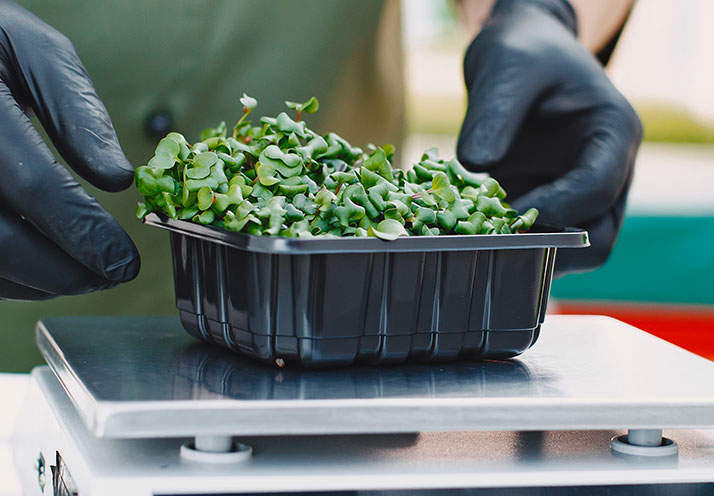 Integrating Robust Management with Cutting-edge Equipment Technology<br />