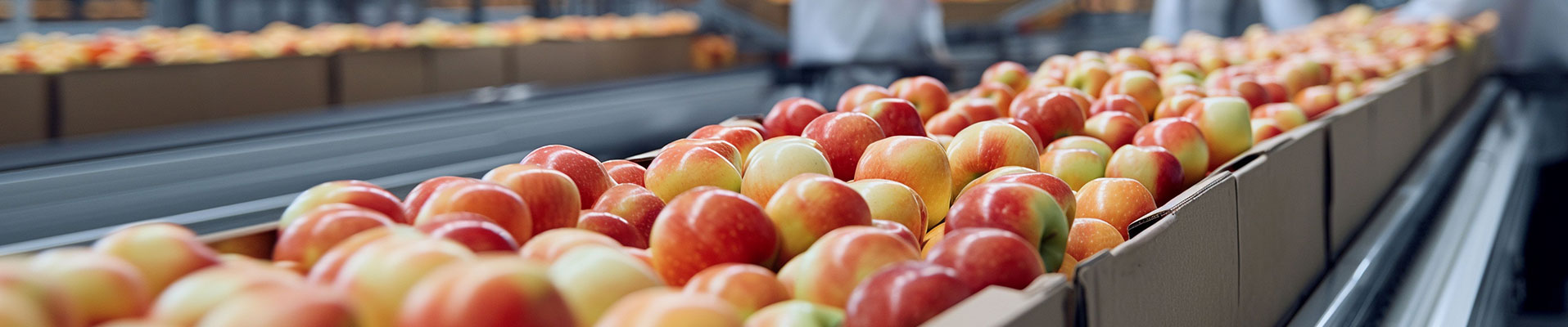 about Hann Gan International CO., LTD.-蔬果加工廠、食品代工廠